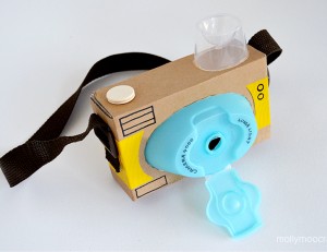cardboard camera